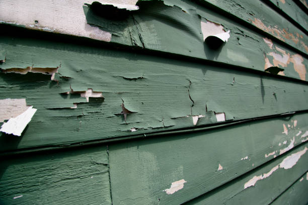 Recycling Services for Junk in Lindsay, CA