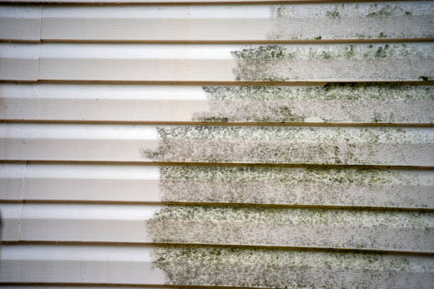 Best Shed Removal  in Lindsay, CA